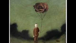 Hidden In Plain View -  Halcyon Daze