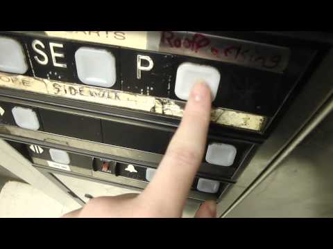 MEGA-CHEWBACCA! DOVER Oildraulic Elevator @ former Pathmark [Ave. Y/Nostrand Ave.], Brooklyn, NY