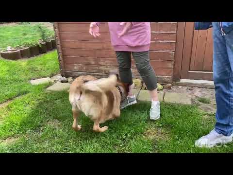 Wer braucht schon eine Eingewöhnungszeit?