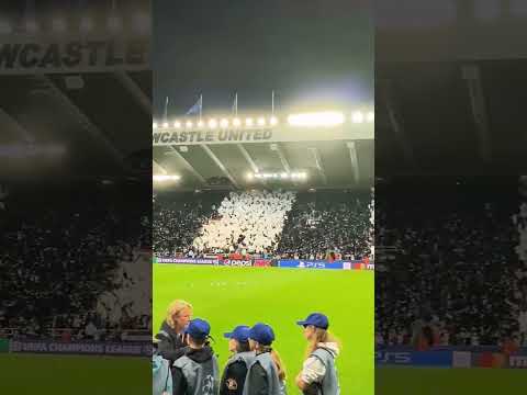 Newcastle Fans put out a massive chanting before the UCL game #championsleague #newcastle #trending