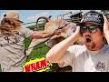 Dale Gets Kicked Heavy Ranching 23