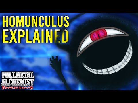 Homunculus EXPLAINED?!