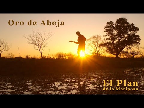 El Plan de la Mariposa | Oro de abeja