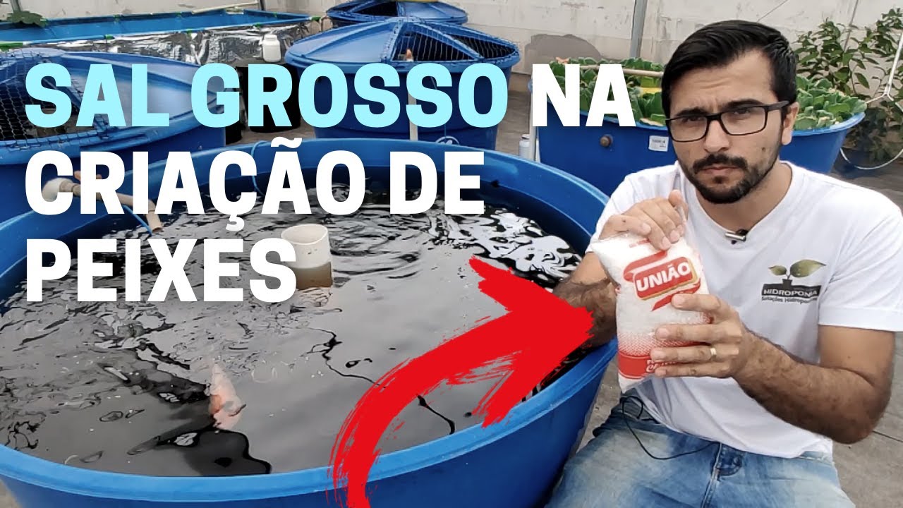 Como usar o sal grosso na criação de peixes? Criação de peixes em caixa d'água (Aula 7).