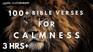 Bible Verses For Calmness