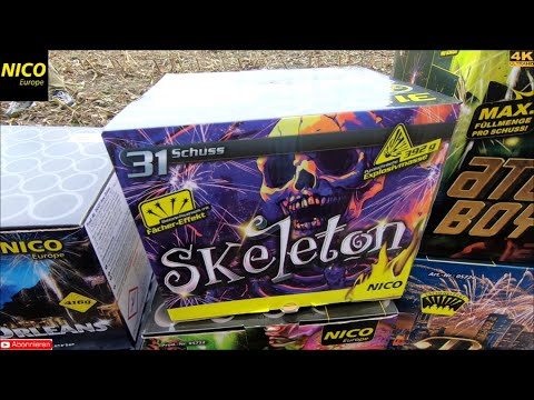 Nico Europe - Skeleton (Neuheit 2025) Gut & schön!