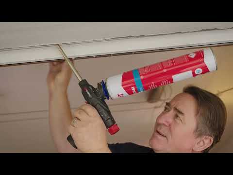 Arbeiten bei Alpsteg - Bewirb dich jetzt.