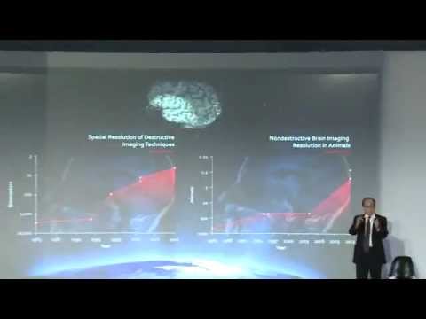What does the future look like? (2013)