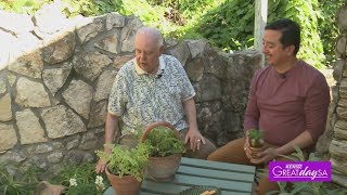 Create a backyard oasis | Great Day SA