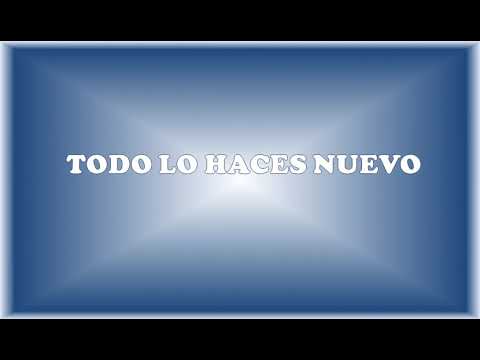 TODO LO HACES NUEVO. Salomé Arricibita