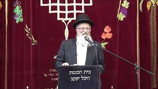 שיעור לתשעה באב | הרב שמואל אליהו | בית כנסת היכל יעקב | ט' אב תשפ"ד (הרב שמואל אליהו) - התמונה מוצגת ישירות מתוך אתר האינטרנט יוטיוב. זכויות היוצרים בתמונה שייכות ליוצרה. קישור קרדיט למקור התוכן נמצא בתוך דף הסרטון