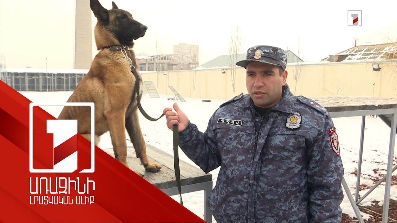 Հետախուզական շների օգտագործումը նպաստում է Ոստիկանության աշխատանքի արդյունավետությանը