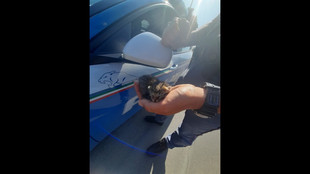 La Polizia di Stato Lancia una Campagna contro l’Abbandono degli Animali