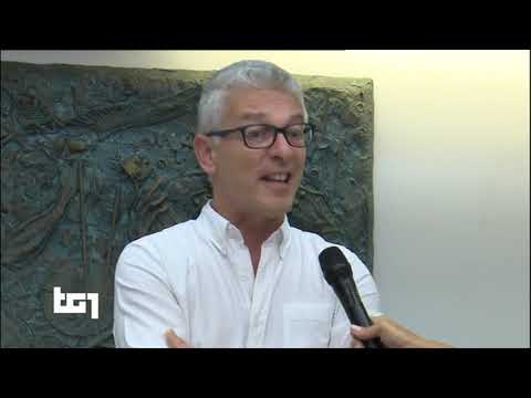 Nicola Morra - servizio al Tg1 8/8/2020 ore 20