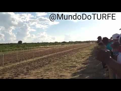 2° Páreo Classificatório do GP Haras GRUPO PEREIRA 2019 .