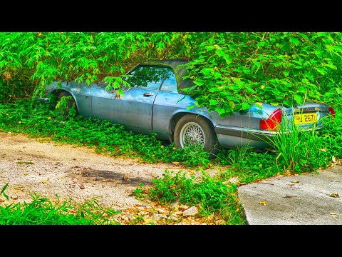 Abandoned Jaguar Cars Around the World - Forgotten Luxury Cars Lost in Time