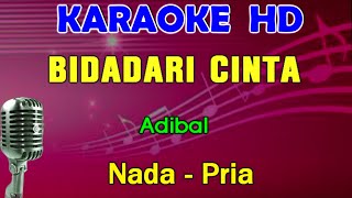 Download lagu BIDADARI CINTA - Adibal | KARAOKE Nada Pria mp3