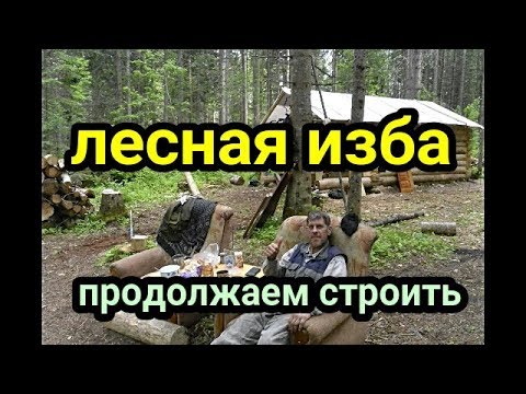 Лесная изба.Продолжаем  строить избушку # 5.