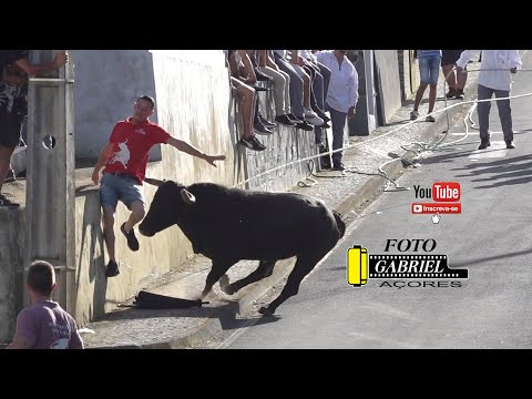 Tourada, Fonte do Bastardo 20- 08- 2025 Ganadeiro J.A. AÇORES