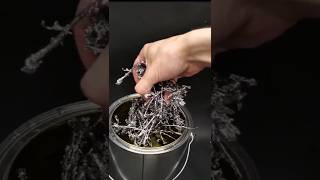 Download lagu This dirty lead needs to be cleaned mp3