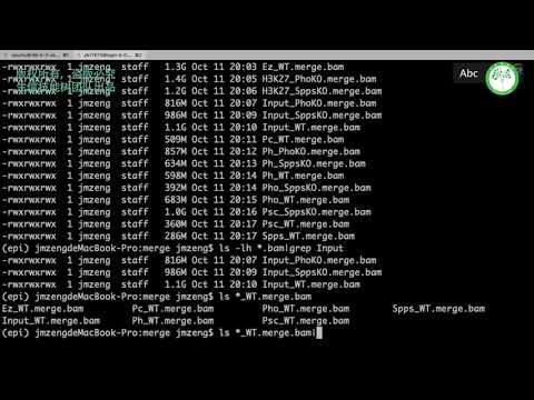 04   ChIP seq 数据从比对到 Peaks calling