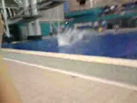 Edwin and a diving pool