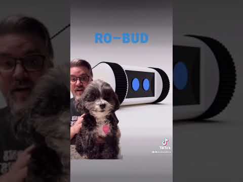 Ro-Bud Project - Part 2