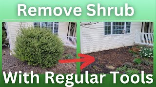 How to remove a large bush with regular tools