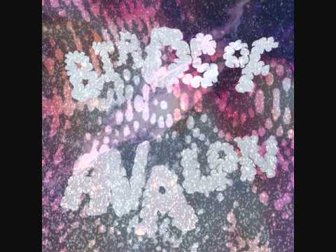 Invasion - Birds of Avalon