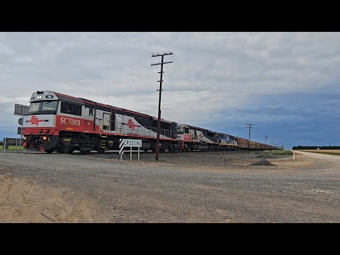 2PM9 SCT up "Dark Ghost" (SCT SCT CF, 74P), Forrestfield to Laverton, 1930, 6/11/25, Pimpinio VIC 