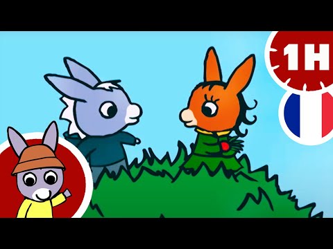 🐢 Trotro et les animaux ! 🐦 - Dessin animé pour Bébé