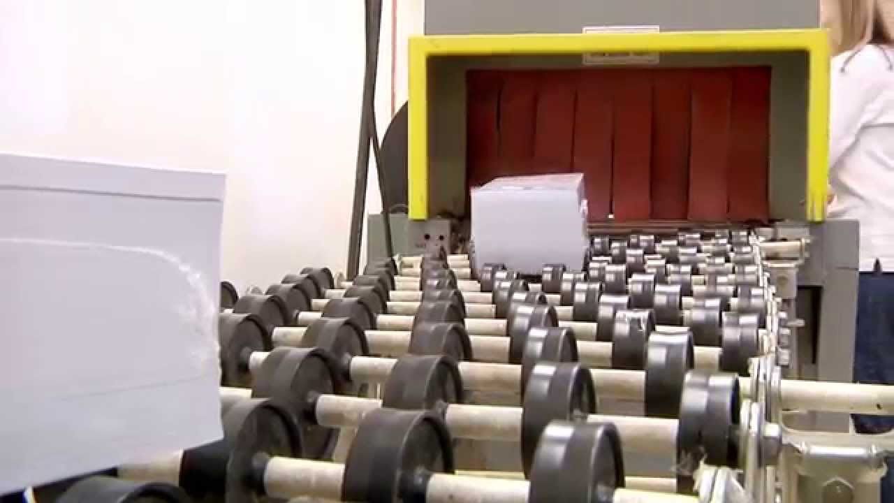 Who is Evolution creative solutions