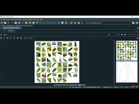 Banana Leaf Disease Detection CNN Train Flask in Python Projects
