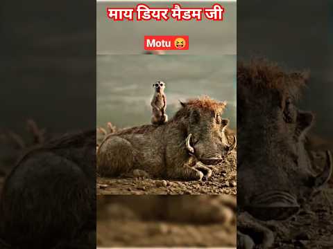 my Dear madam ji 😀 मोटू किसने बोला 🔥#viral #shorts #comedy #fannyvideo