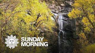 Nature: Black Hills of South Dakota