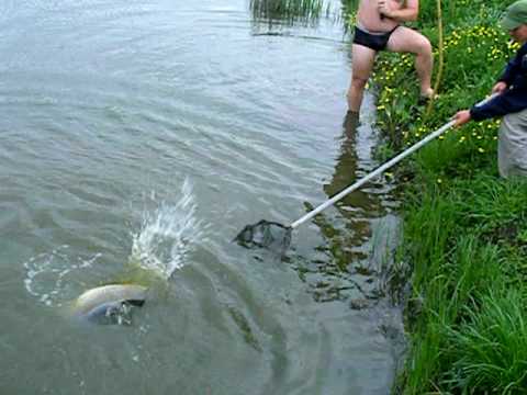 Captura crap lac privat Valea Florilor