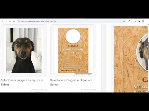 Vídeo tutorial