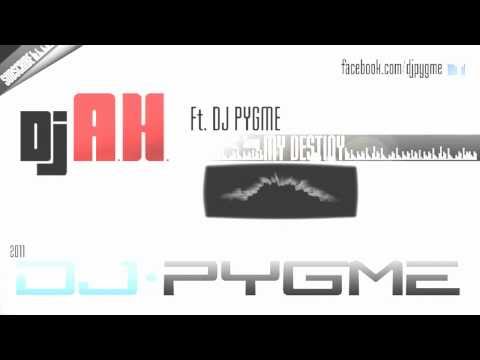 DJ Pygme & DJ A.H. - My Destiny [2011]