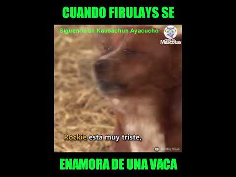 Por que te fuiste mi amor HERMANOS CURI 2019