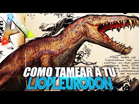 COMO TAMEAR A TU LIOPLEURODON | Guia Español | Ark: Survival Evolved