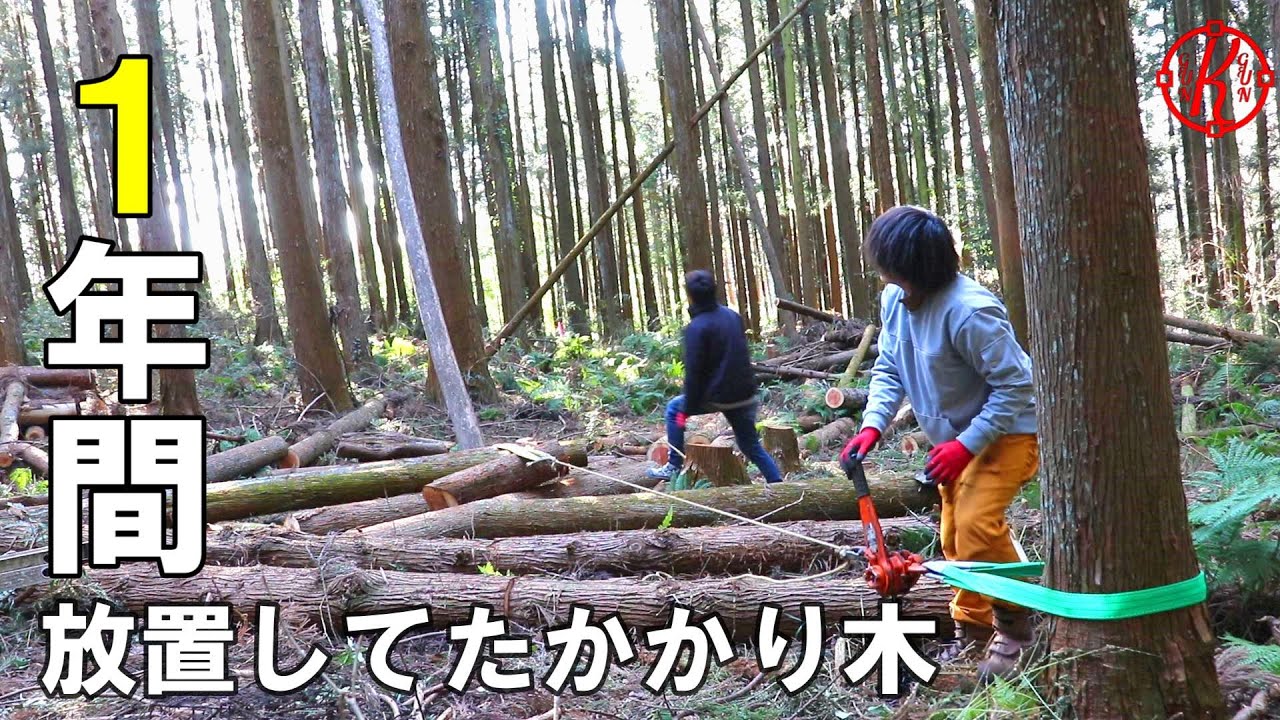 エリア拡大計画”3/かかり木処理！道具無しは素人には無謀？