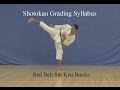 Red Belt 8th Kyu Shotokan Karate Syllabus Basics