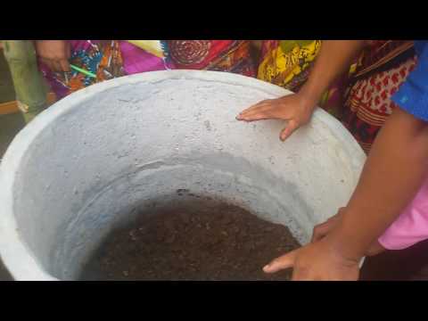 Vermicompost Training in Baliadangi, Thakurgaon