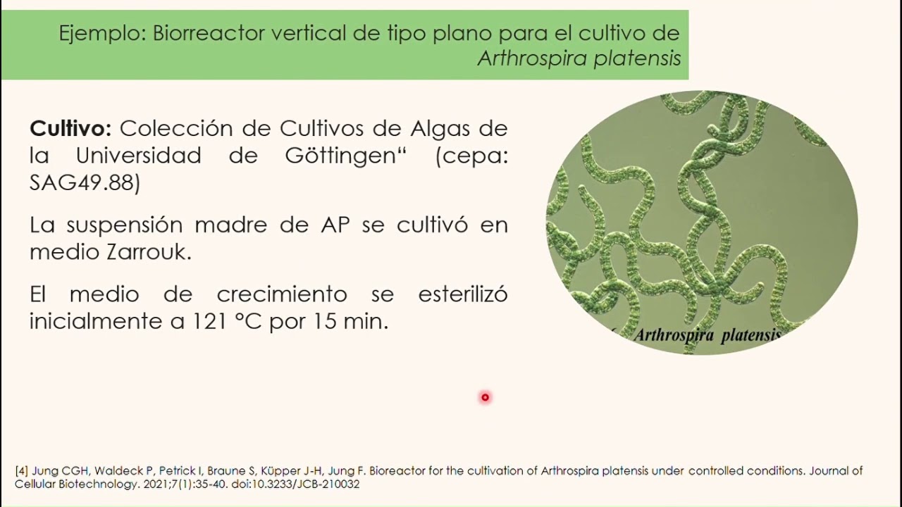 Producción de colorantes