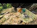 Fish trapping skills, the orphan boy khai traps stream fish in a primitive way sell in the village