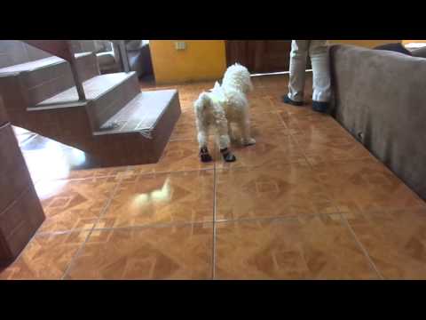 Mi Bubucielo-Juan Francisco