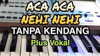 Download lagu ACA ACA NEHI NEHI || KOPLO TANPA KENDANG || PLUS VOKAL mp3