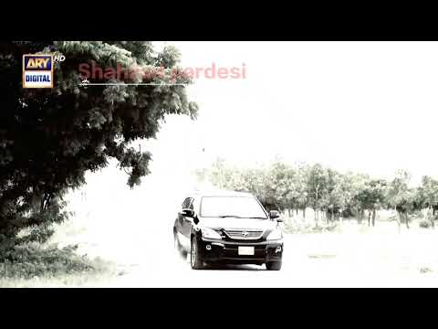 Dunk last episode 31 prom Ary digital