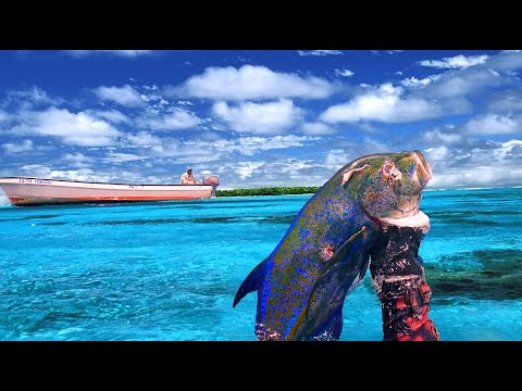 Spearfishing Fiji - Kadavu Spearfishing the Reef