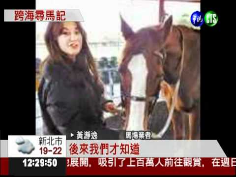 跨海尋愛馬 美籍婦飆淚緊擁